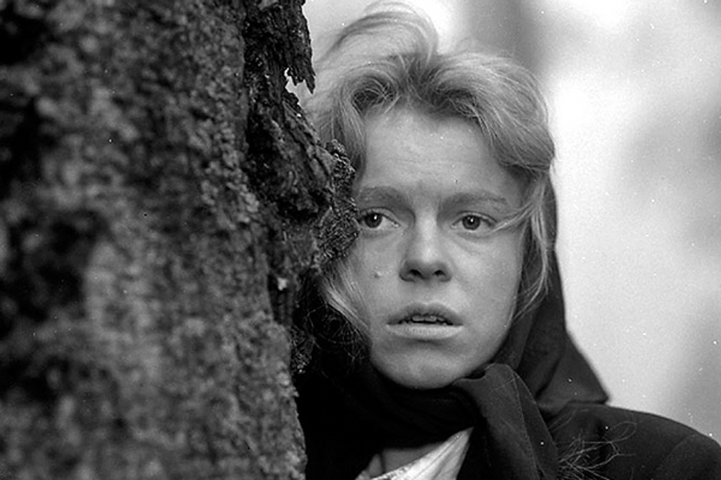 Kočár do Vídně (1966)