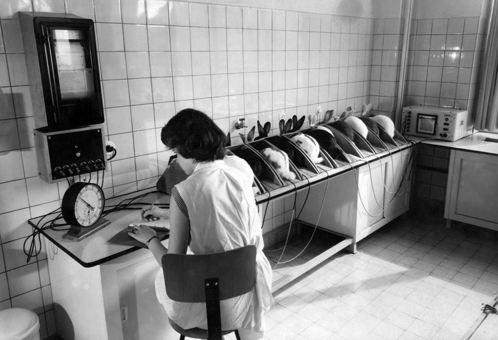 Testování na zvířatech