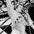Freddie Mercury