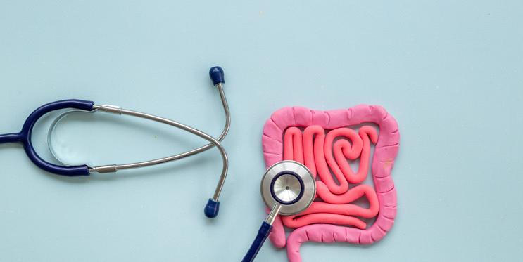 Zdraví střev může být klíčem k prevenci leukémie, ukazuje nová studie