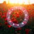 Horoskop
