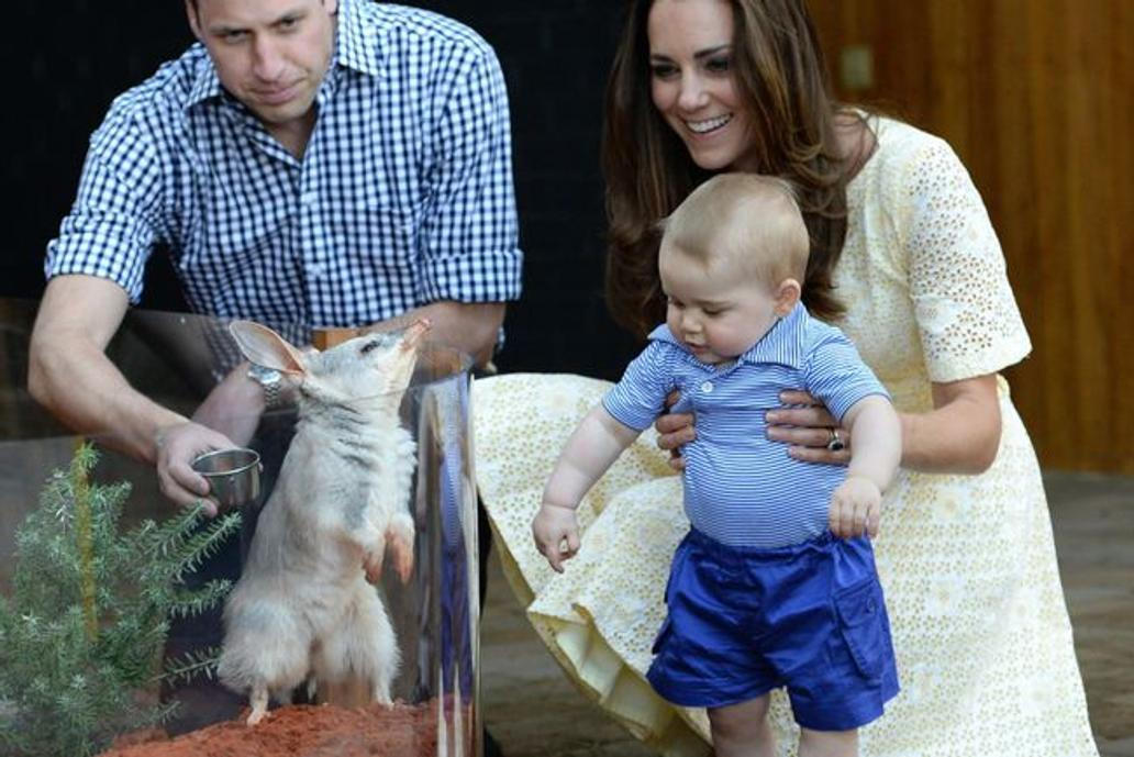 Ačkoliv se tehdy na veřejnosti ukázal pouze dvakrát, britská BBC jej označila za hvězdu turné.