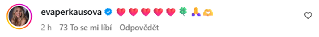 Komentář Evy Perkausové