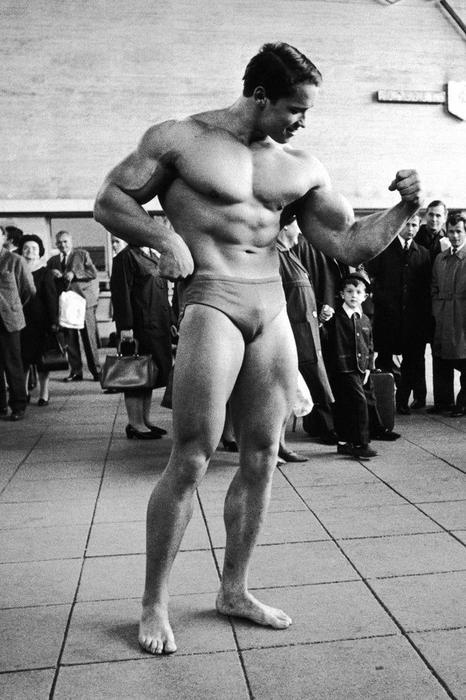 Arnold Schwarzenegger