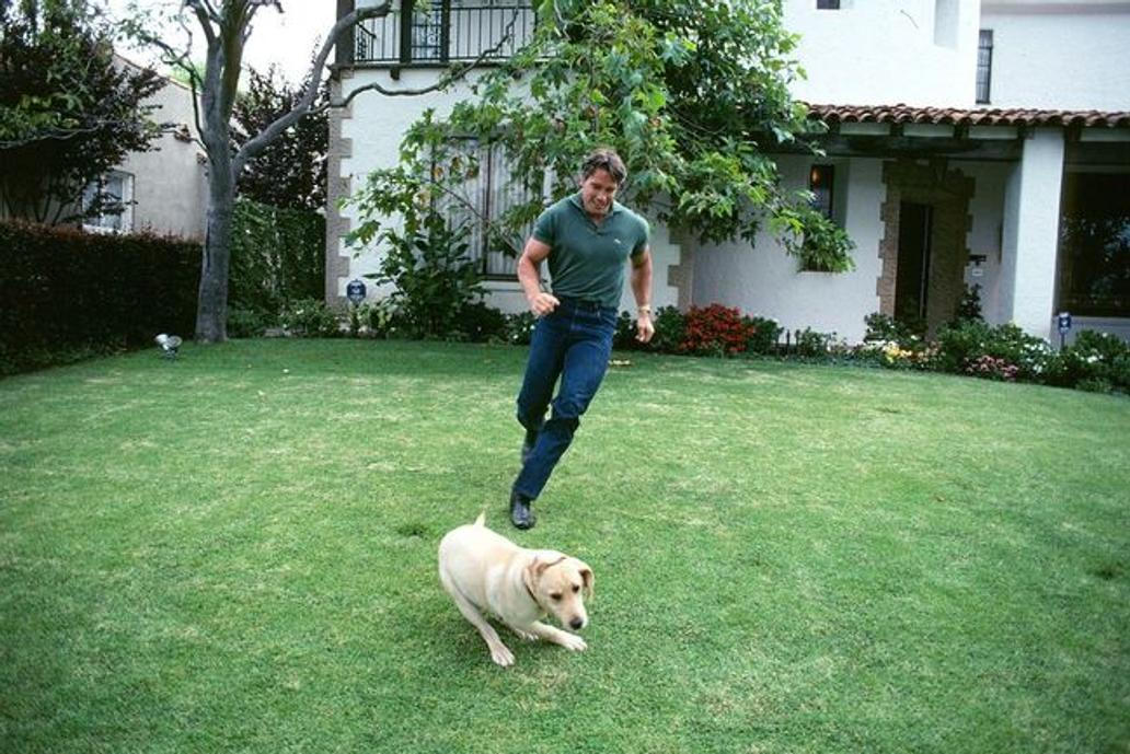 Arnold Schwarzenegger