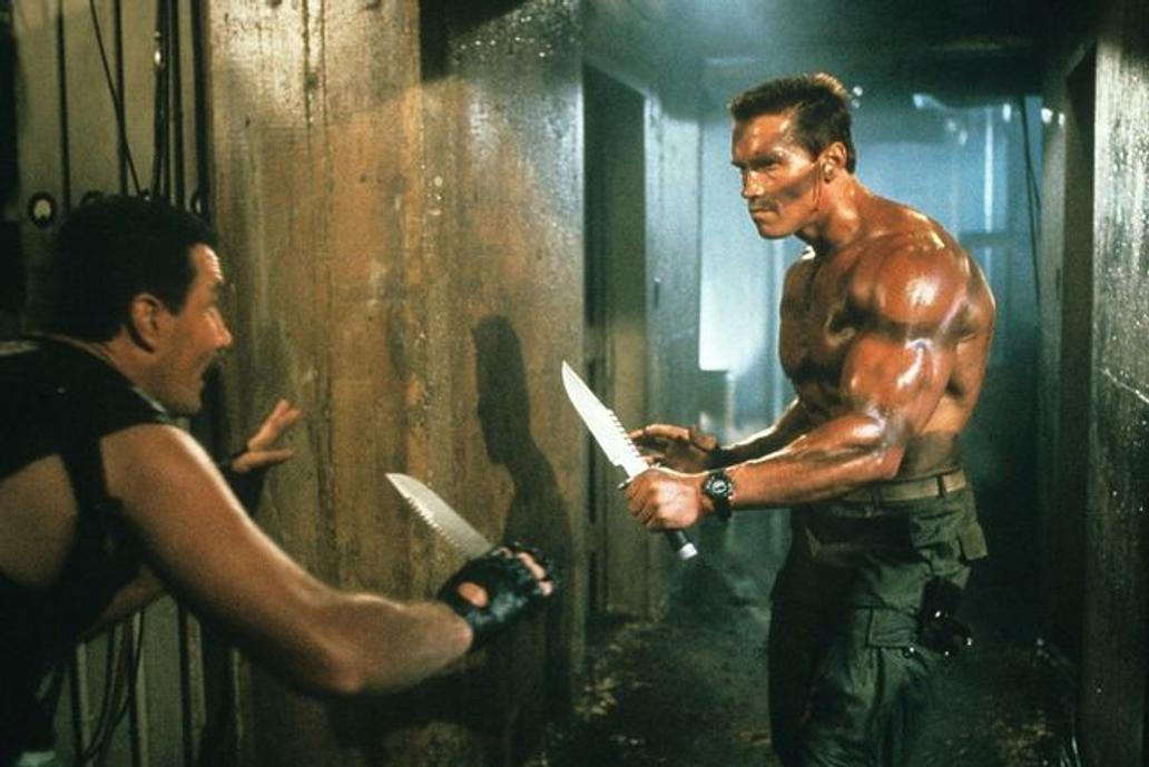 Arnold Schwarzenegger