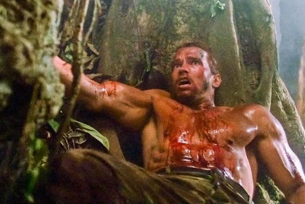 Arnold Schwarzenegger