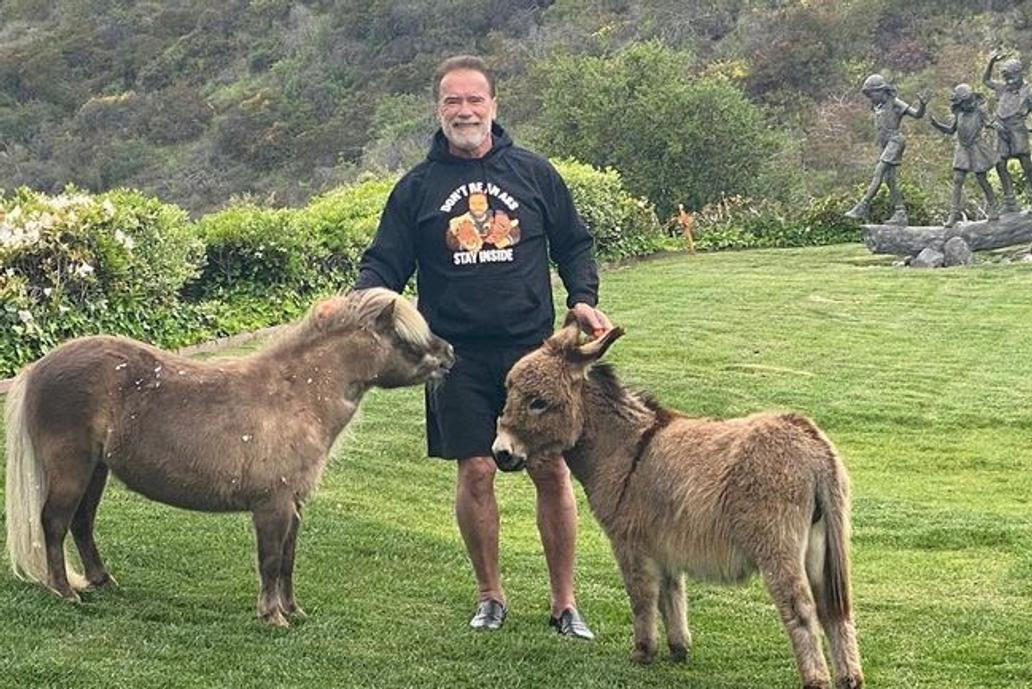 Arnold Schwarzenegger