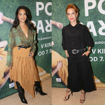 Alžbeta Ferencová, Hana Vagnerová