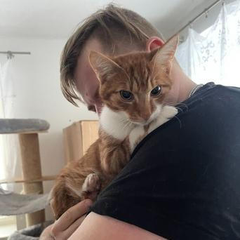 Kontaktní kočka potřebuje jiný domov než ta, která má ráda klid.