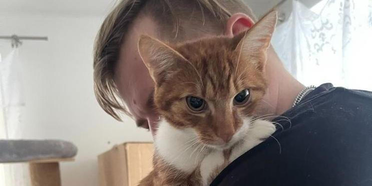 Kontaktní kočka potřebuje jiný domov než ta, která má ráda klid.