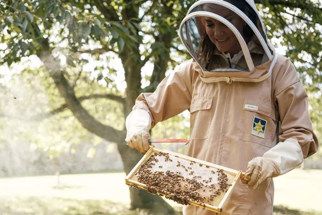 Kate Middleton předvádí své dovednosti při zacházení s včelami