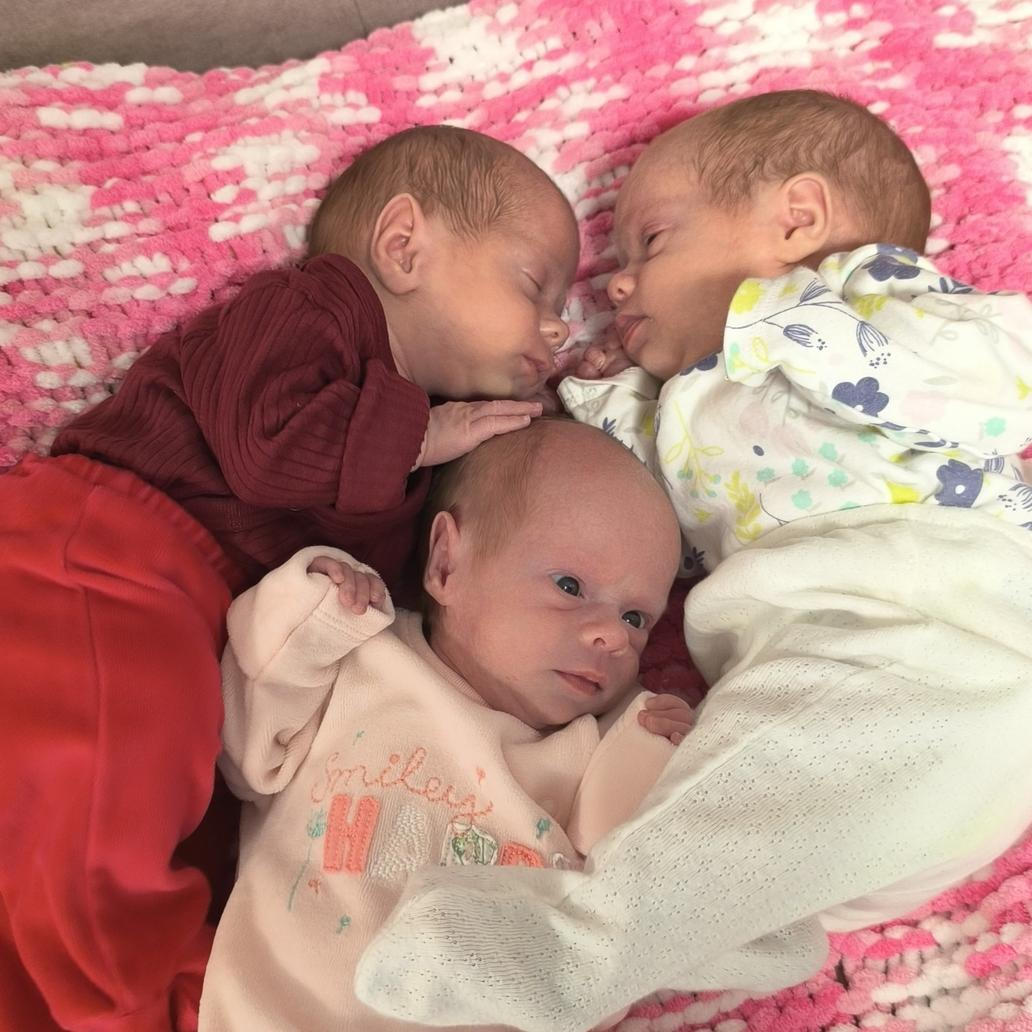 Nejmenší Ester vážila pouhých 1660 gramů, Lívia 1800 gramů a Sára 2200 gramů. Nejmenší Ester vážila pouhých 1 660 gramů, Lívia 1 800 gramů a Sára 2 200 gramů.