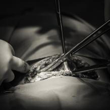 igorstancik.ephoto.sk