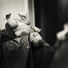 igorstancik.ephoto.sk