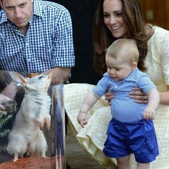 Ačkoliv se tehdy na veřejnosti ukázal pouze dvakrát, britská BBC jej označila za hvězdu turné.