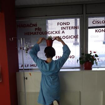 Před stříháním vlasů (měla jsem je nebarvené, tak jsme je s mamkou před prvním chemem šmikli a poslaly do nadace Dlouhovláska, kde z nich dělají paruky pro onko pacienty).