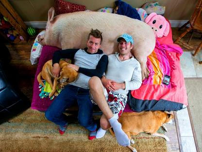 Nevšední domácí mazlíčci