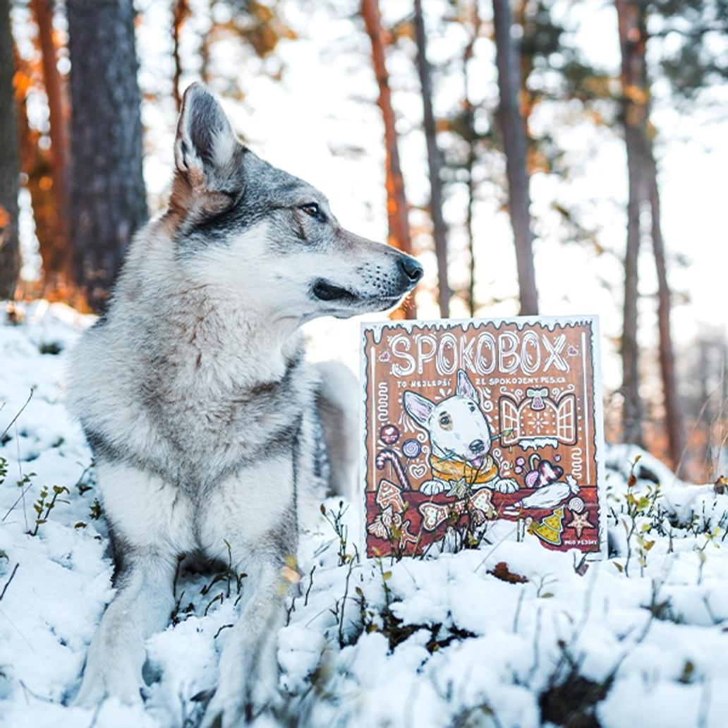 SPOKOBOX, psí krabice plná překvapení SPOKOBOX, psí krabice plná překvapení