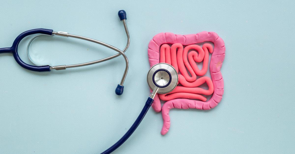 Zdraví střev může být klíčem k prevenci leukémie, ukazuje nová studie