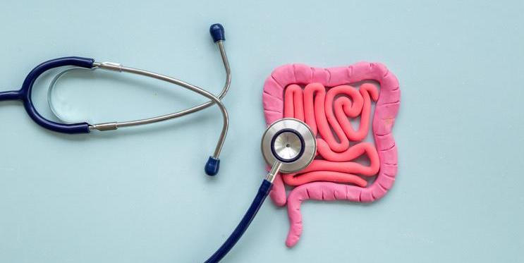 Zdraví střev může být klíčem k prevenci leukémie, ukazuje nová studie