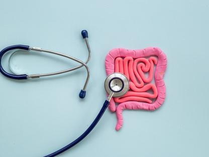 Zdraví střev může být klíčem k prevenci leukémie, ukazuje nová studie