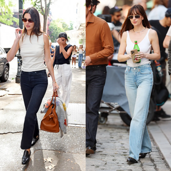 Kendall Jenner, Dakota Johnson