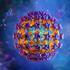 HPV virus