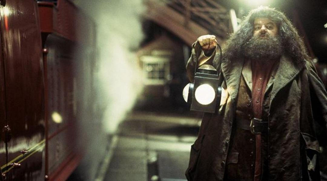 Harry Potter a Kámen mudrců