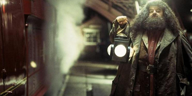 Harry Potter a Kámen mudrců