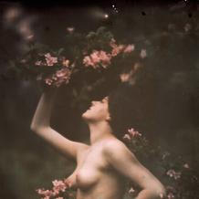 Arnold Genthe, Genthe photograph collection, Library of Congress, Prints and Photographs Division