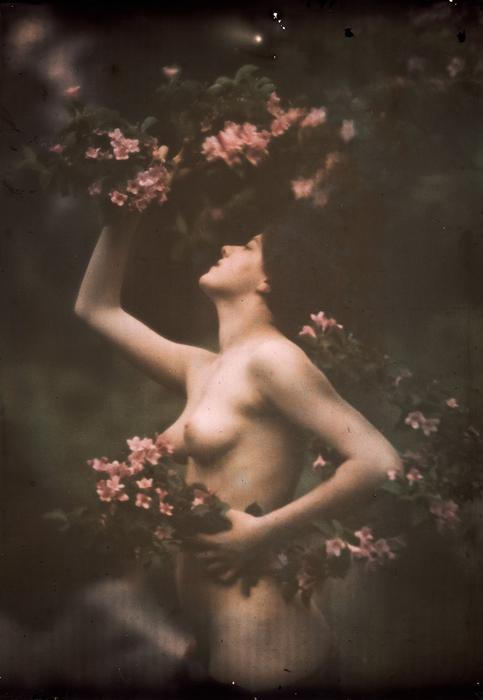 Arnold Genthe, Genthe photograph collection, Library of Congress, Prints and Photographs Division