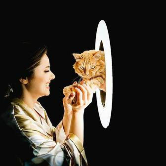 Nejlepší kamarádka nevěsty schválila velký den — Paws And All