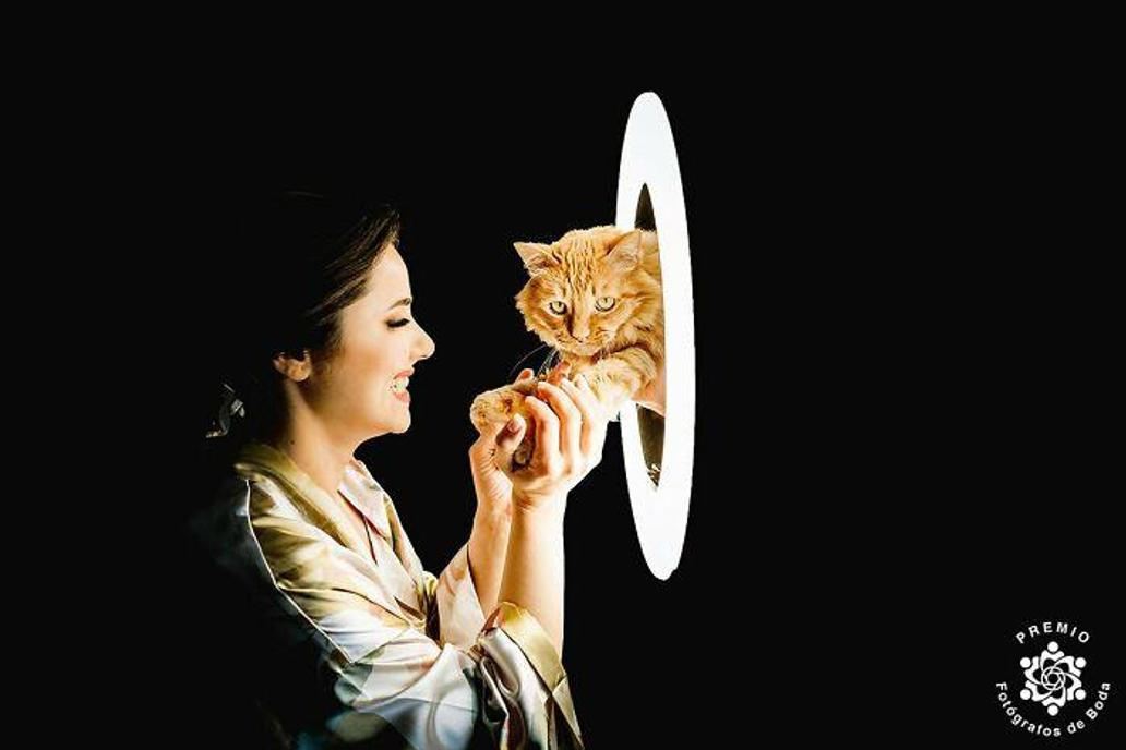 Nejlepší kamarádka nevěsty schválila velký den — Paws And All