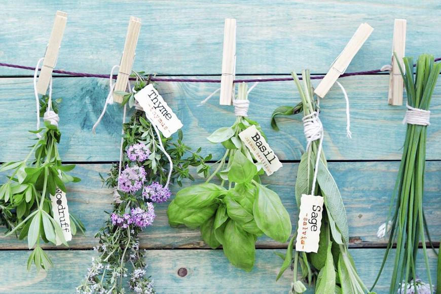 Pokud pijete nálev z bylin, můžete si dát občas klidně pár piv, říká naturopatka