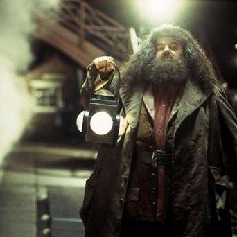 Harry Potter a Kámen mudrců