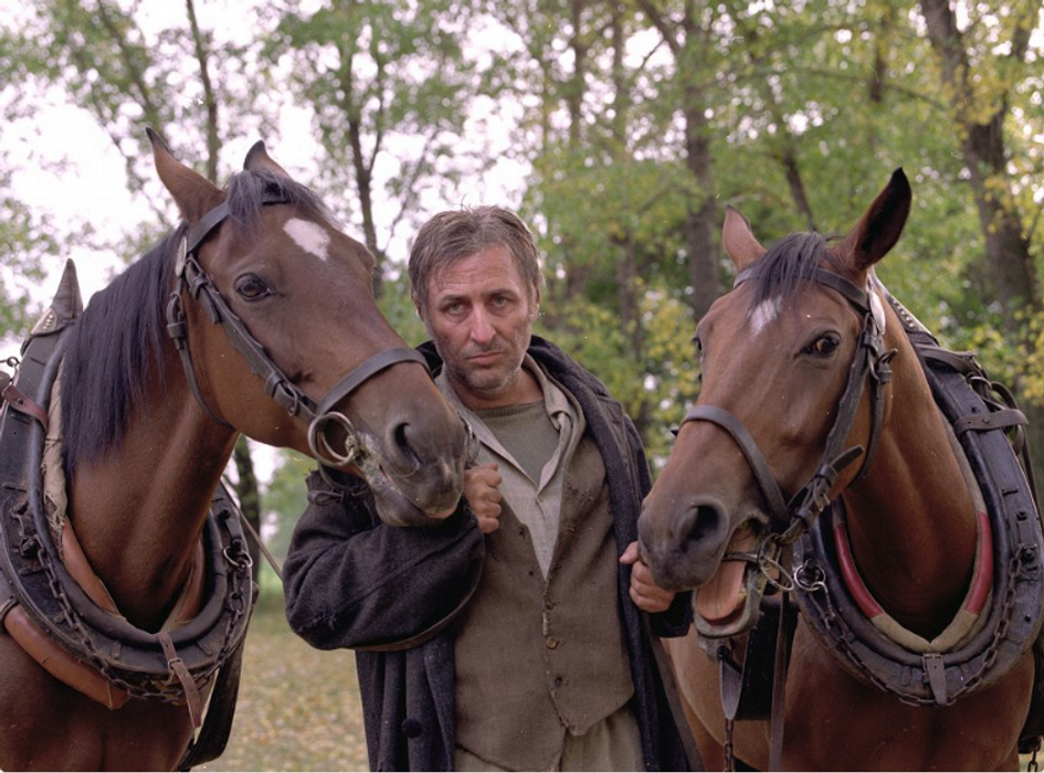 Karel Heřmánek, Zámek v Čechách 1993