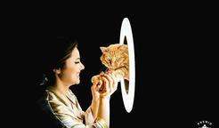 Nejlepší kamarádka nevěsty schválila velký den — Paws And All