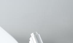 Peptides + Prebiotics ANNA BRANDEJS