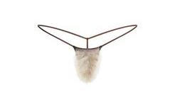 Chlupatá tanga z dílny Kim Kardashian