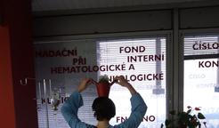 Před stříháním vlasů (měla jsem je nebarvené, tak jsme je s mamkou před prvním chemem šmikli a poslaly do nadace Dlouhovláska, kde z nich dělají paruky pro onko pacienty).