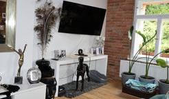 Bydlení Osmany Laffita