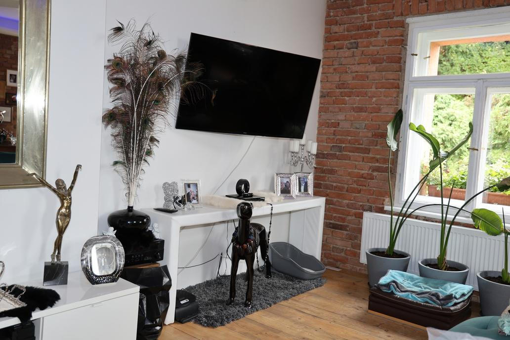 Bydlení Osmany Laffita