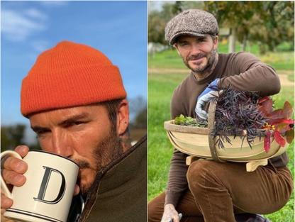 beckham, david, zena