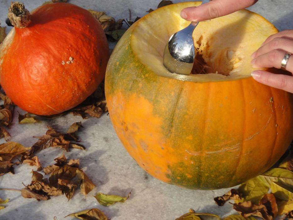 Vyřežte si dýňového netopýra