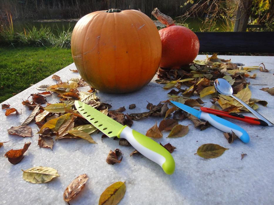 Vyřežte si dýňového netopýra