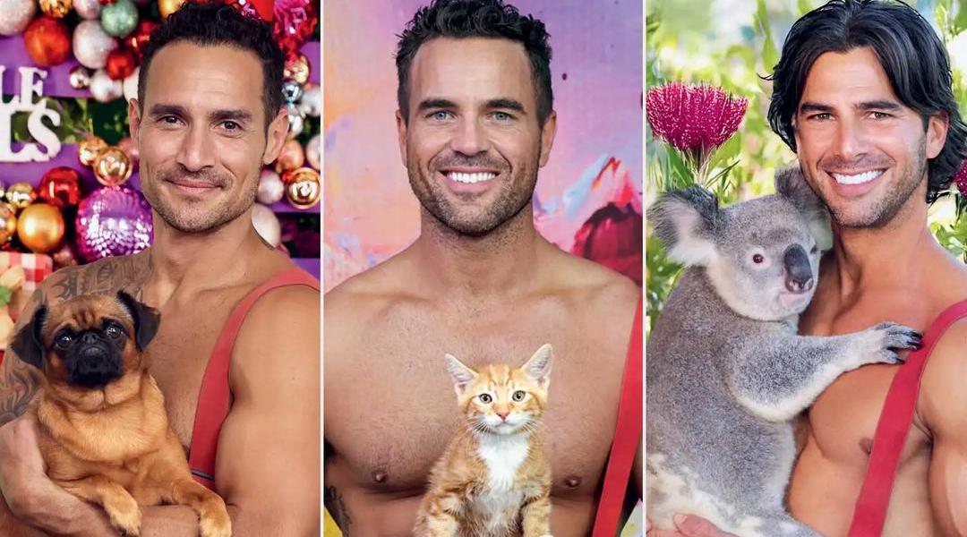 Nejžhavější kalendáře roku jsou tady