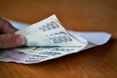 ilustrační fotografie, mzda, plat, výplata, peníze, příjem, zvýšení platu, snížení platu, Koruna Česká, 2017