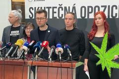 Piráti legalizace TK