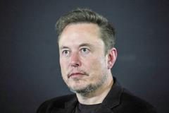 Elon Musk, USA, Zahraničí